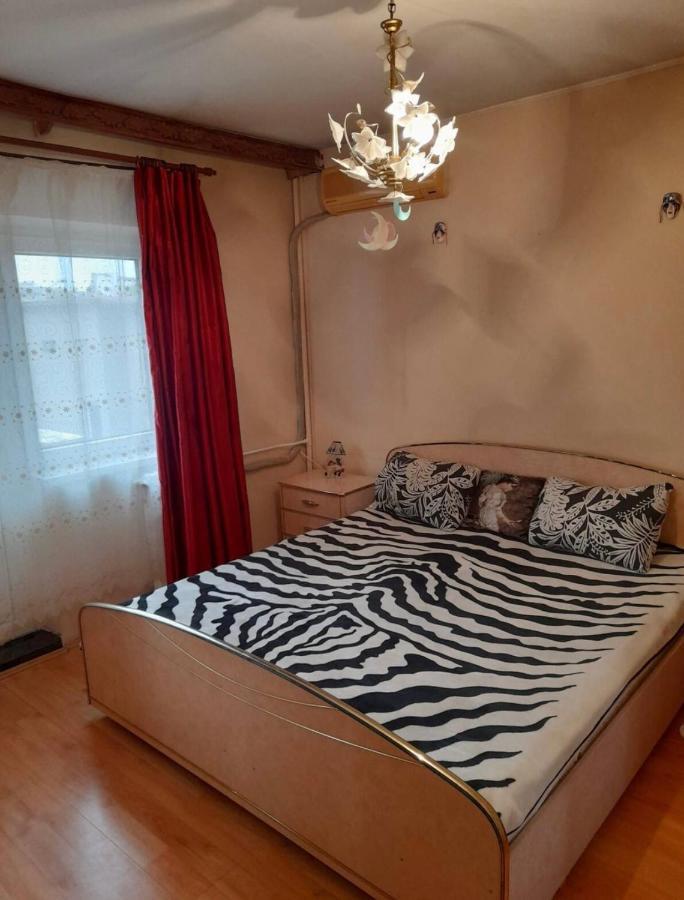 Ploiesti Ultracentral !!! Экстерьер фото